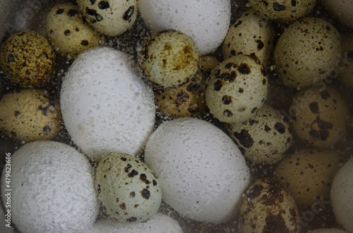 Chicken and quail eggs are boiled in water. Preparing dishes for the Orthodox Easter holiday