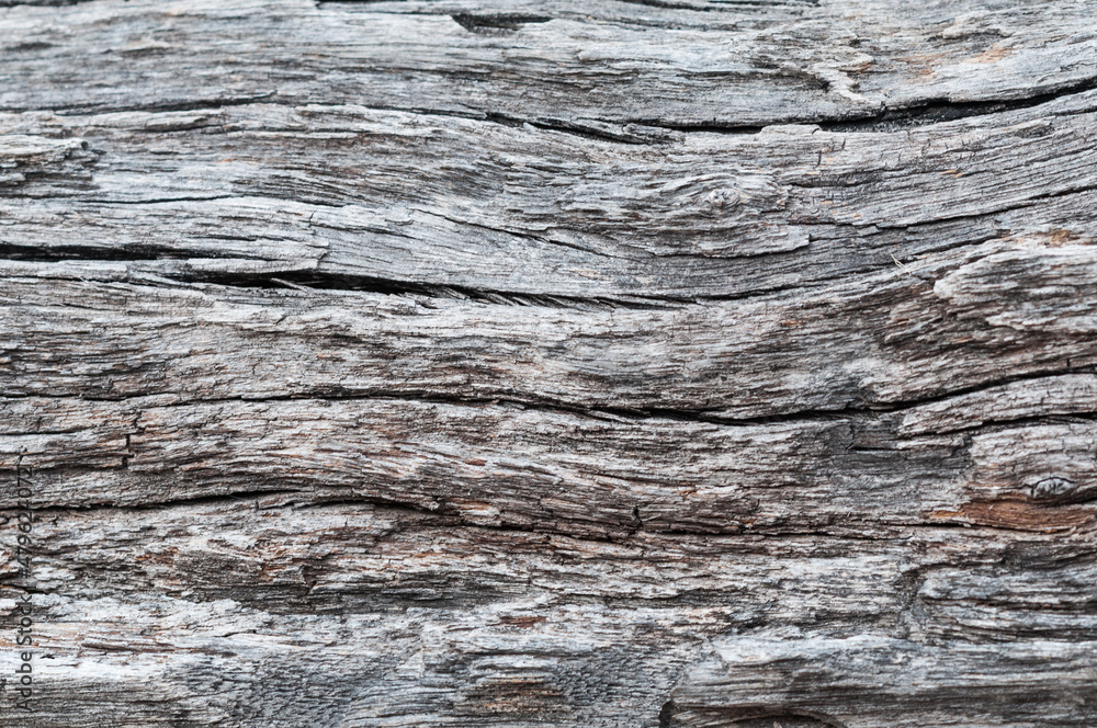 Wood texture / Rustic gray wood background with structural effect. Wood texture / Rustic gray wood background with structural effect.