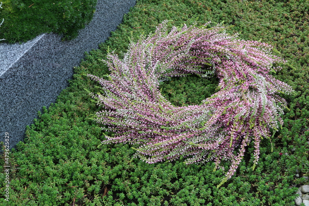 Floristik, Herbstkranz aus Erikapflanzen, Kranz, Friedhofschmuck, Grabgestaltung, Allerheiligen