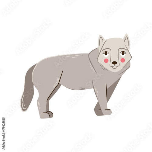 Cute wolf vector  forest animal illustration. Grey wolf hand drawn wild animal