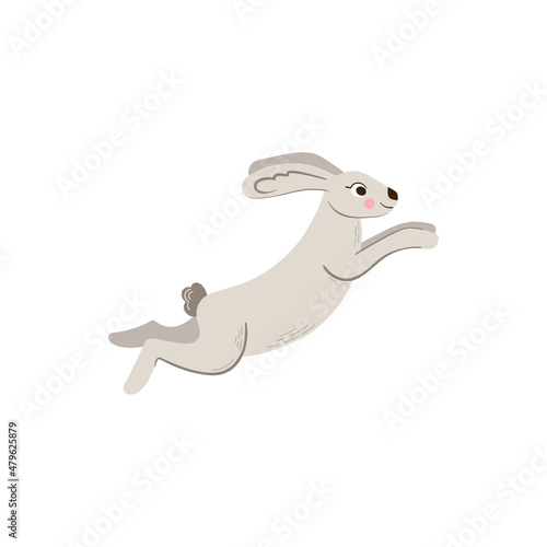 Rabbit vector icon.Cartoon vector icon isolated on white background rabbit.
