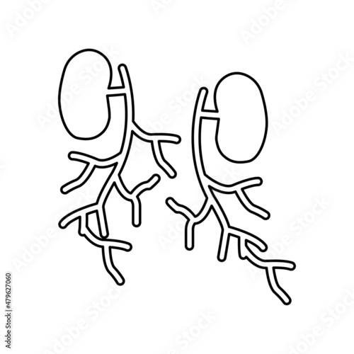 circulatory system icon on a white background, vector illustration