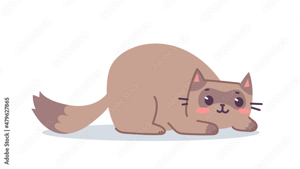 Vector illustration of happy cute laying cat character on white color background. Flat line art style design of brown animal cat