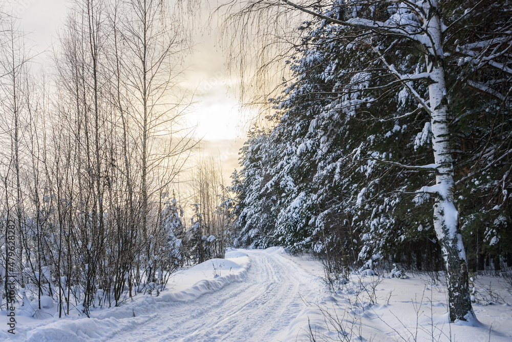 Obraz premium Morning sun over forest road in winter