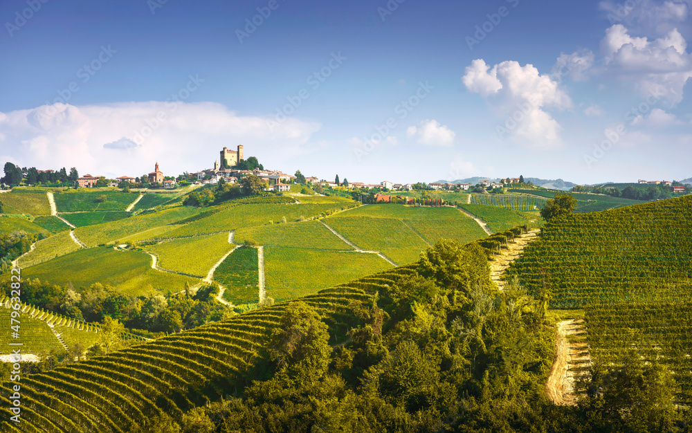 Langhe vineyards panorama, Serralunga Alba, Piedmont, Italy Europe.