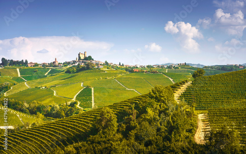 Langhe vineyards panorama  Serralunga Alba  Piedmont  Italy Europe.