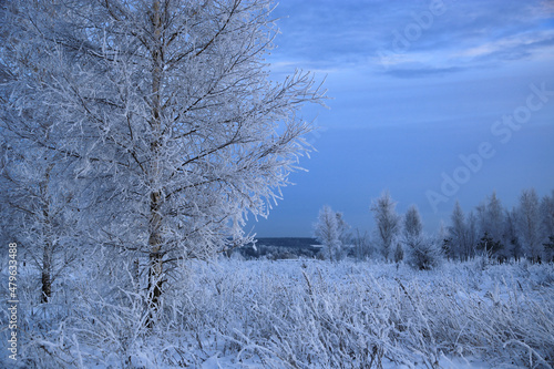 Beautiful winter landscape in the evening © Dinadesign