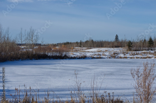 Pylypow Wetlands on a Snowy Autumn Day