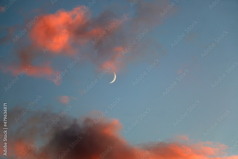 Crescent moon and fluffy pink clouds in the sky. Crescent moon and fluffy pink clouds in the sky.