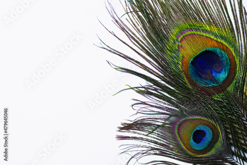 Beautiful bright peacock feathers on white background, top view