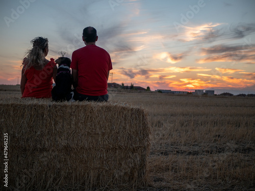 A rear view of a romantic young couple with their dog watching the sunset in a wheat field
