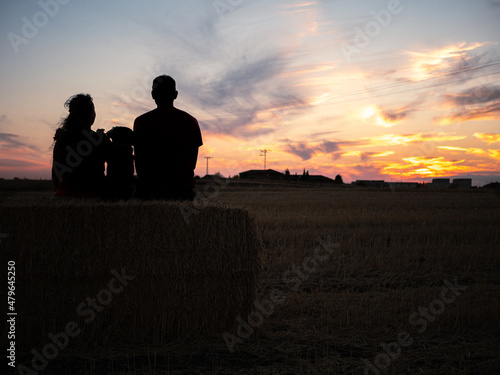 A rear silhouette of a romantic young couple with their dog watching the sunset on the beach © RODRIGO