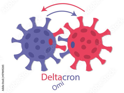 Deltacron is a combination of delta and omicron. Recombination of viruses. Schematic drawing. Two viruses exchange their DNA. The exchange is shown by the color of the coronavirus spike proteins.