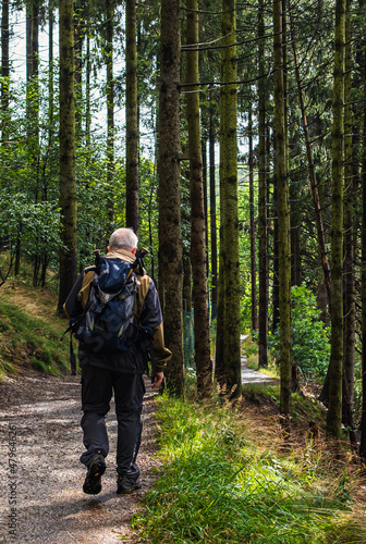 Wallpaper Mural person in the forest Torontodigital.ca