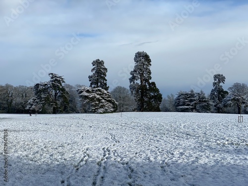 Newbridge house in Winter photo