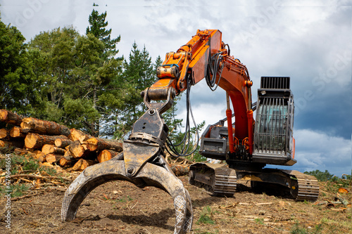 A swing loader is used to stack pine logs and for loading onto a logging truck at a forestry site. Tree removal in New Zealand