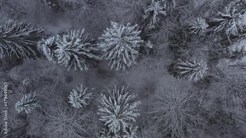 Aerial footage of winter landscape in a forrest. High quality 4k footage