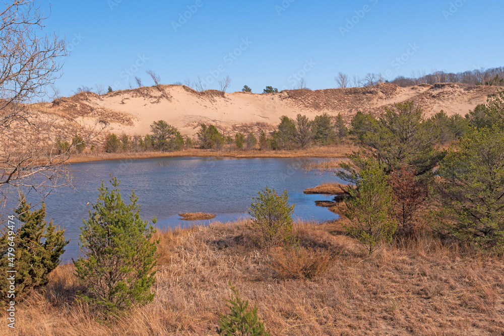 Small Wetland Hidden in the Dunes