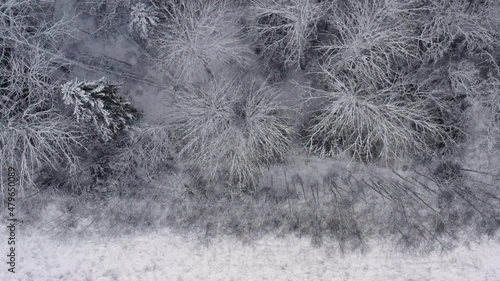 Aerial footage of winter landscape in a forrest. High quality 4k footage