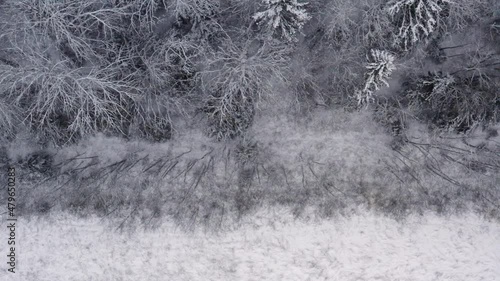 Aerial footage of winter landscape in a forrest. High quality 4k footage