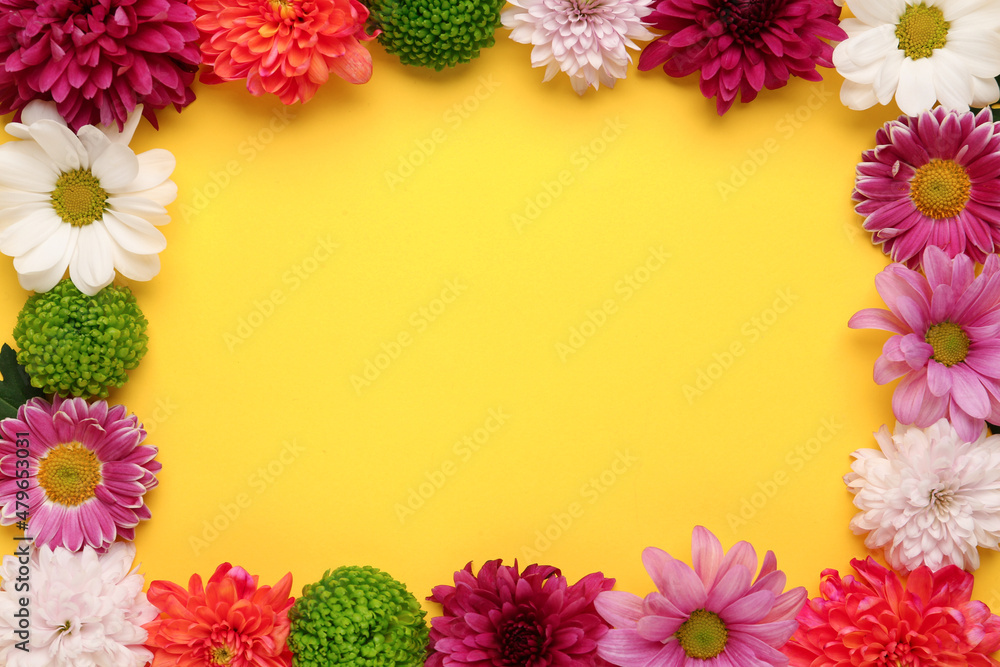 Frame made of beautiful chrysanthemum flowers on yellow background, flat lay. Space for text Frame made of beautiful chrysanthemum flowers on yellow background, flat lay. Space for text