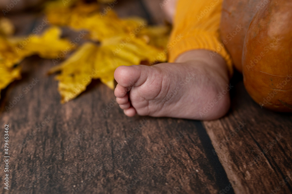 yellow small pumpkin in the hands of a child yellow small pumpkin in the hands of a child