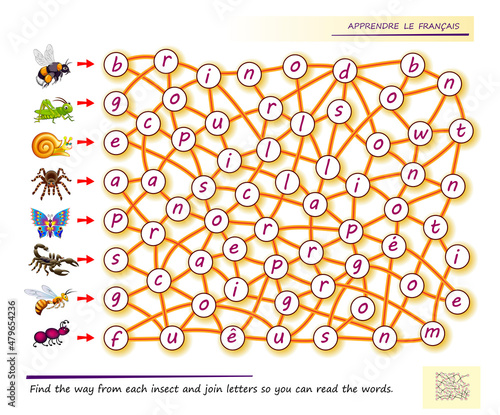 LEARN FRENCH. Logic puzzle game for study French with labyrinth. Find the way from each insect and join letters so you can read the words. Printable worksheet for textbook. Page for brain teaser book.