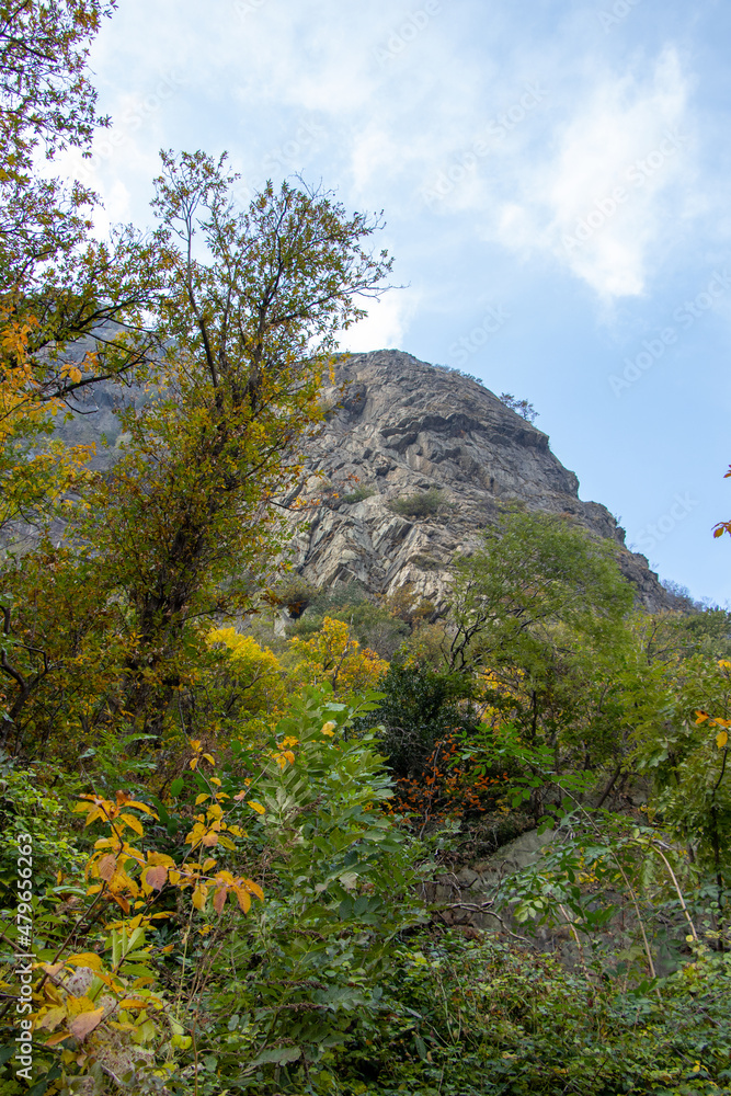 Valle D'Aosta, Italy, beautiful European landscape, beautiful trees with yellow and orange foliage, growing on the top of the mountain Valle D'Aosta, Italy, beautiful European landscape, beautiful trees with yellow and orange foliage, growing on the top of the mountain