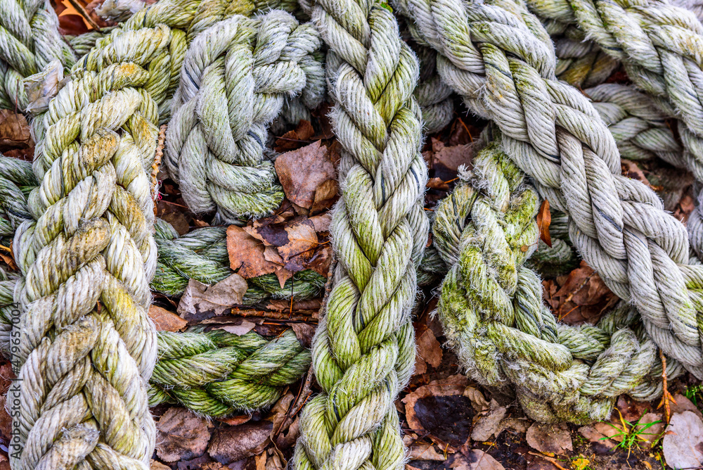 Close up of braided aged white rope found dock side.