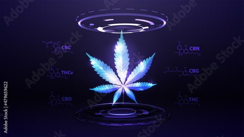 Blue digital hologram of hemp leaf with chemical formulas of natural cannabinoids and digital rings in dark room