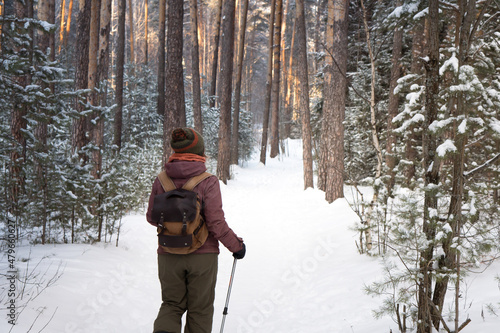 Active woman hiking or walking in winter forest with trekking poles