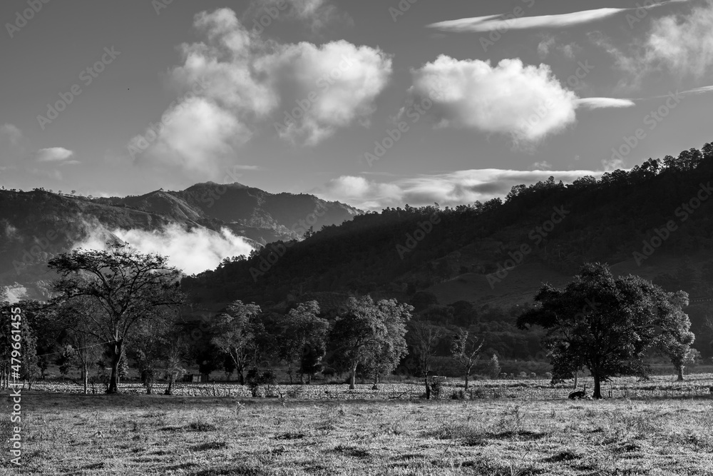 Dramatic black and white  landscape in the Caribbean mountains with tropical trees and a pasture in the foreground with low fog and clouds in the background, in the Dominican Republic..