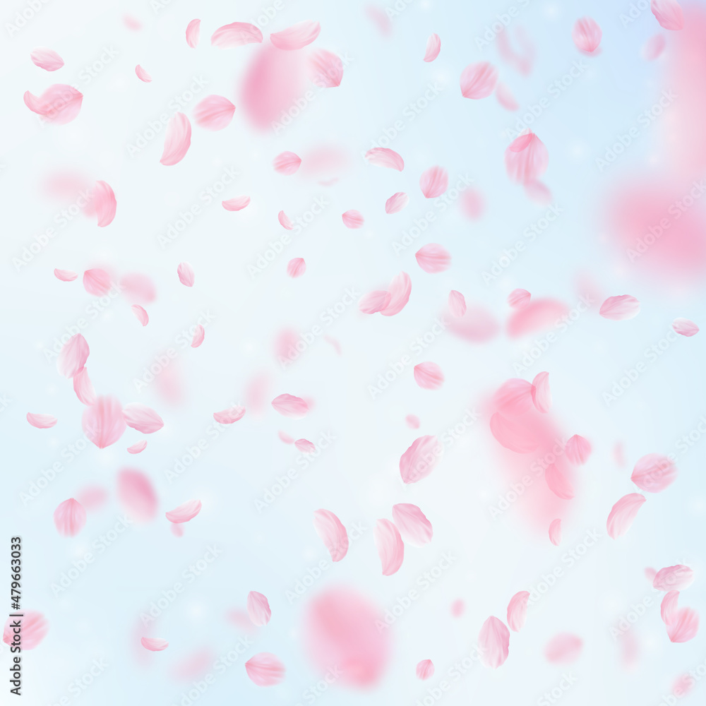 Sakura petals falling down. Romantic pink flowers falling rain. Flying petals on blue sky square background. Love, romance concept. Magnificent wedding invitation. Sakura petals falling down. Romantic pink flowers falling rain. Flying petals on blue sky square background. Love, romance concept. Magnificent wedding invitation.