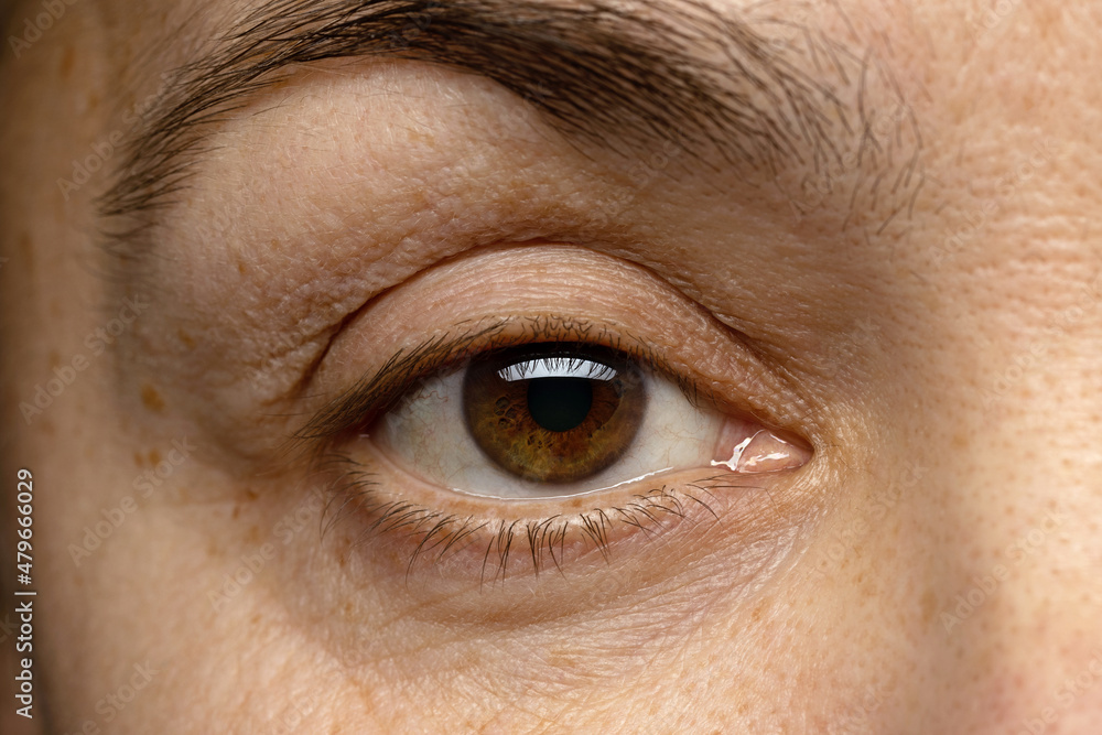 A very close-up of the brown eyes of a middle-aged woman. Clear skin, thick, smooth eyebrows. A very close-up of the brown eyes of a middle-aged woman. Clear skin, thick, smooth eyebrows.