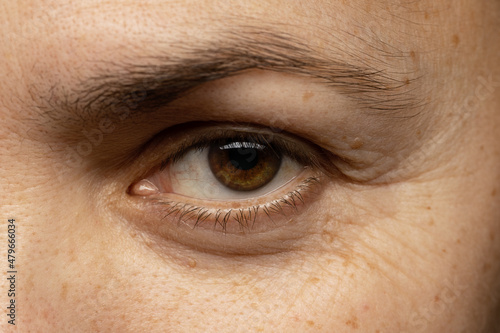 Quadro em tela Macro photo close-up of female brown eyes