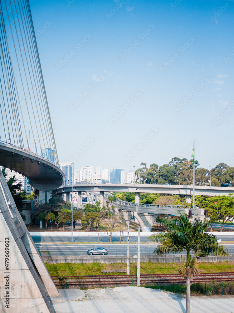 Obraz premium curves