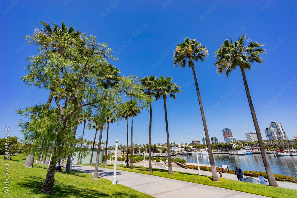 Fototapeta premium Beautiful scene around Rainbow Harbor