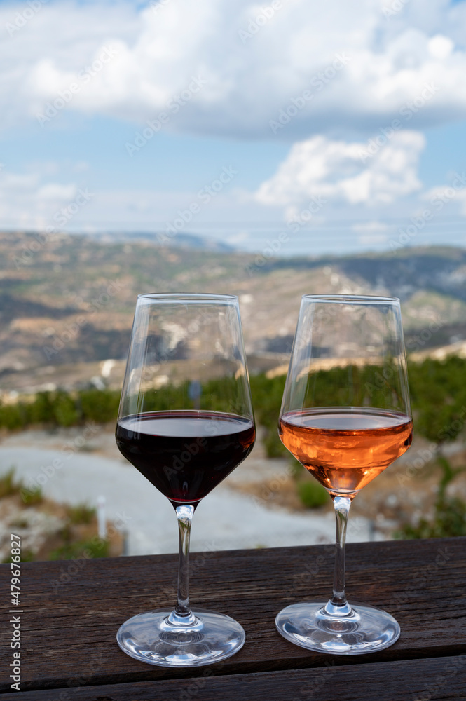 Wine industry of Cyprus island, tasting of red and rose dry wines on winery with view on vineyards and south slopes of Troodos mountain range.