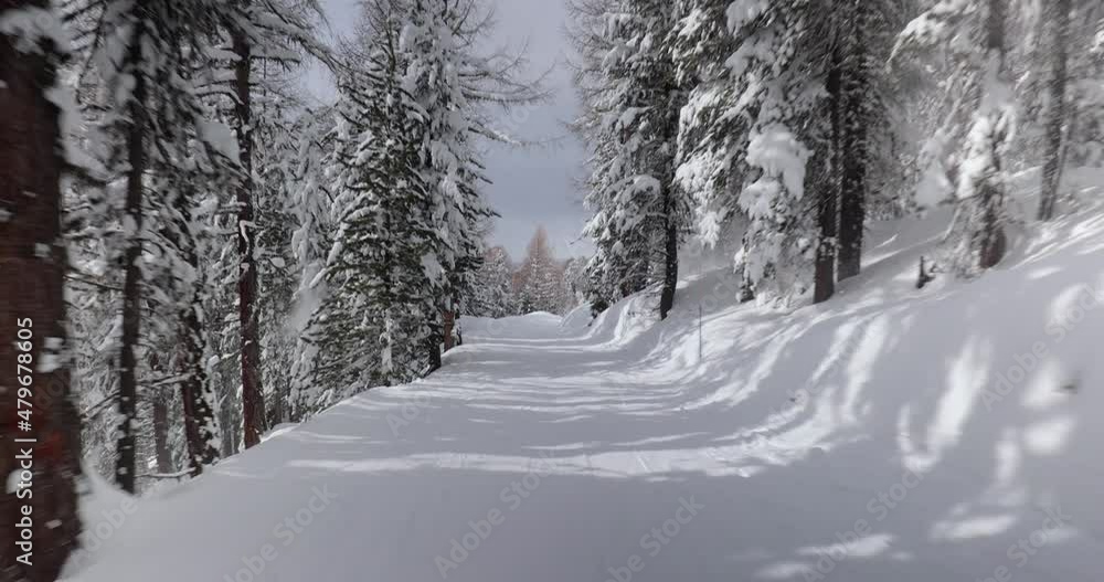 Skiing down a slope in snowy woods Skiing down a slope in snowy woods