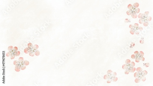 pink background with flowers