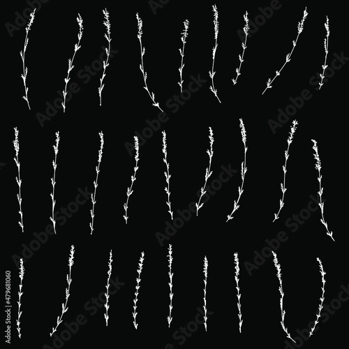 heather flower set hand drawing vector illustration isolatedon black background