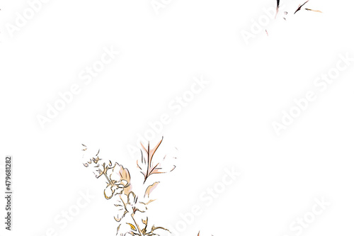 Fototapeta Naklejka Na Ścianę i Meble -  abstract floral rose peony bouquet illustration