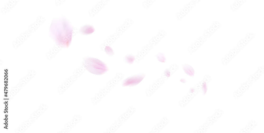 桜のシルエット（ピンクとイエロー背景）
