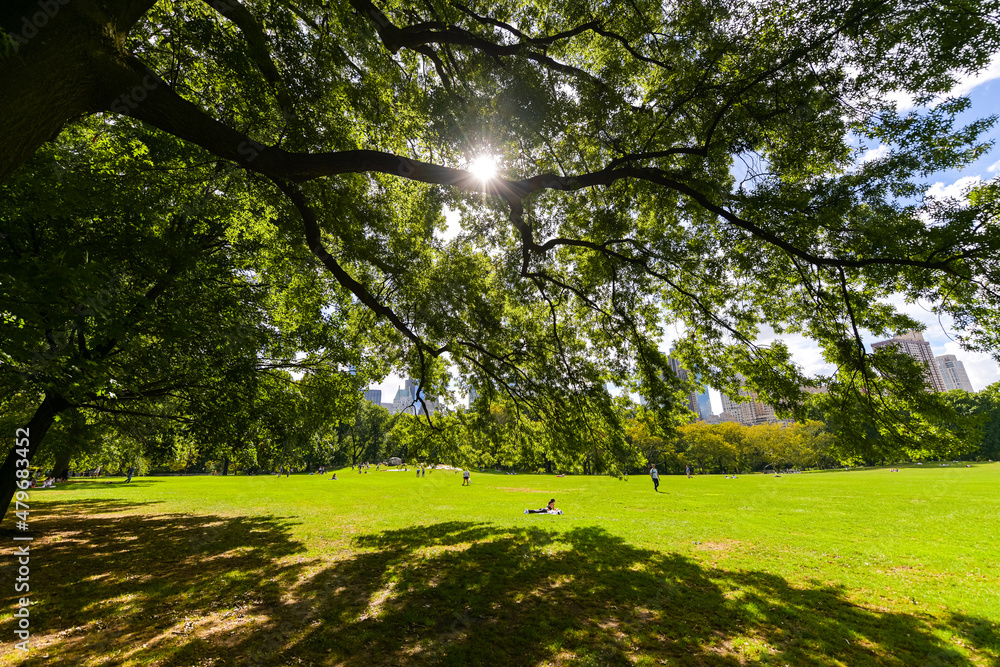 Obraz premium Central Park from Manhattan. Daily life scene and a beautiful day to walk in the biggest park in New York. Great view to the landmarks of this city in America.