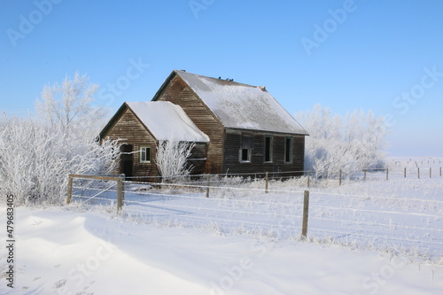 An outdoor winter rural scene of an abandoned wooden one room schoolhouse with trees covered in hoarfrost and snow and a clear blue sky. © Janice