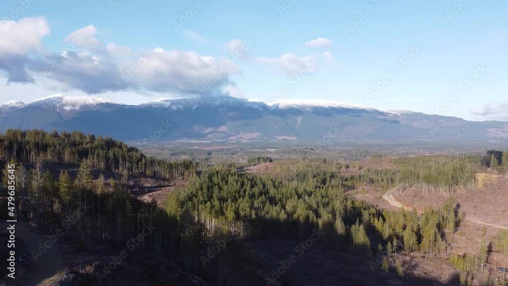 Aerial View of Logged Forest of Port Alberni, Vancouver Island, Canada Aerial View of Logged Forest of Port Alberni, Vancouver Island, Canada