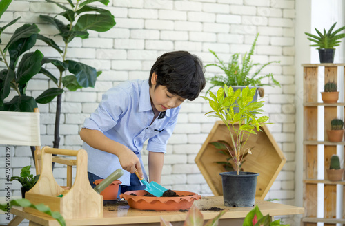 Asian boy spent holiday taking care of indoor garden, mixing soil and fertilizer with blue gardening shovel.