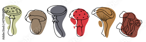 Set of stylized sketches of poisonous mushrooms with color spots. Amanita and false mushrooms. Vector clipart for logos and labels. Contour drawing of dangerous fungus.