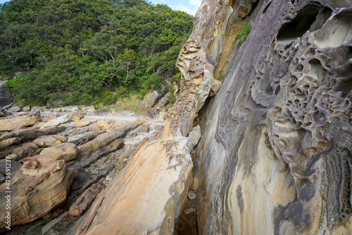 竜串海岸の風や波の浸食によって作られた奇岩の情景＠足摺岬、高知