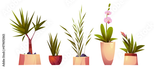 House plants in pots for home interior decoration. Vector cartoon set of planters with flowers with green leaves and blossoms, palm tree, dracaena and orchid isolated on white background